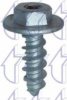 RENAU 7703017087 Screw